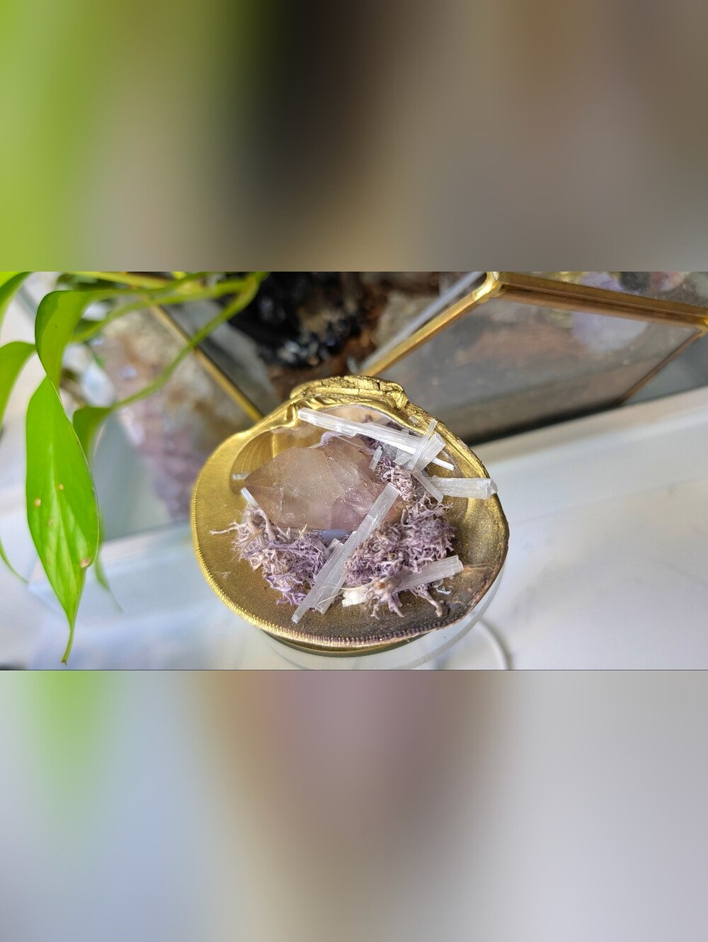 Amethyst Quartz Selenite Crystal & Artificial Moss in Seashell